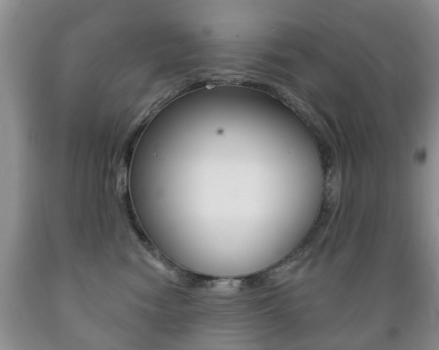 X0000089720474200706210858