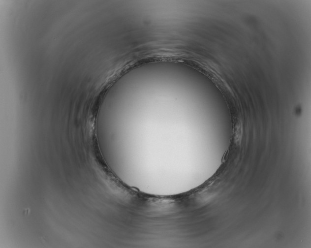X0000089720476200706210858