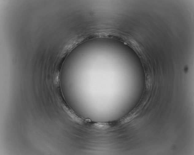 X0000089720477200706210858