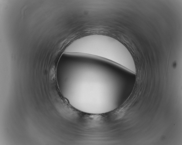 X0000089720478200706210858