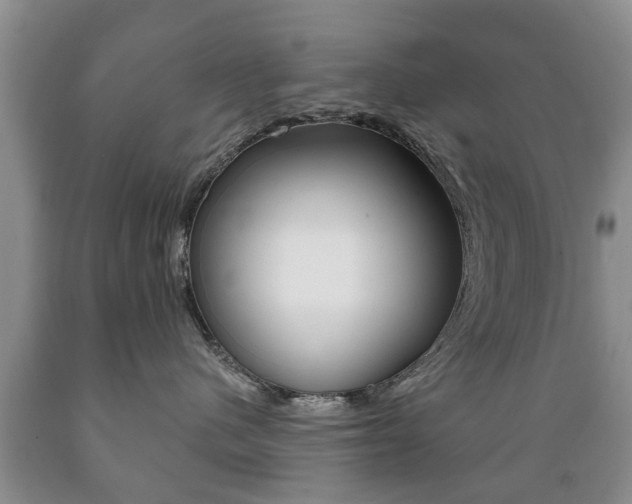 X0000089720480200706210858