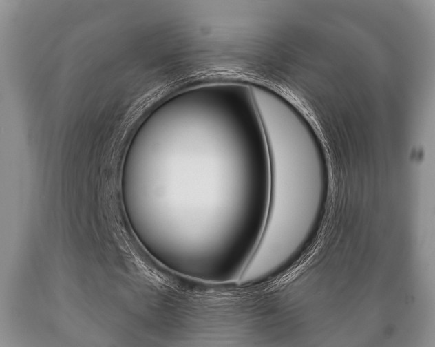 X0000089720481200706210857