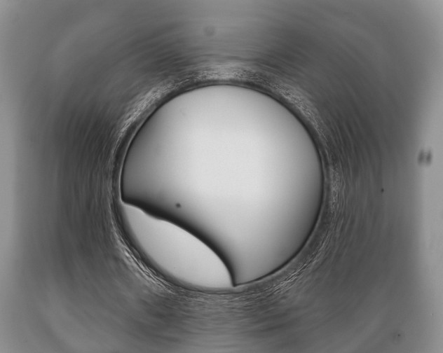 X0000089720482200706210857