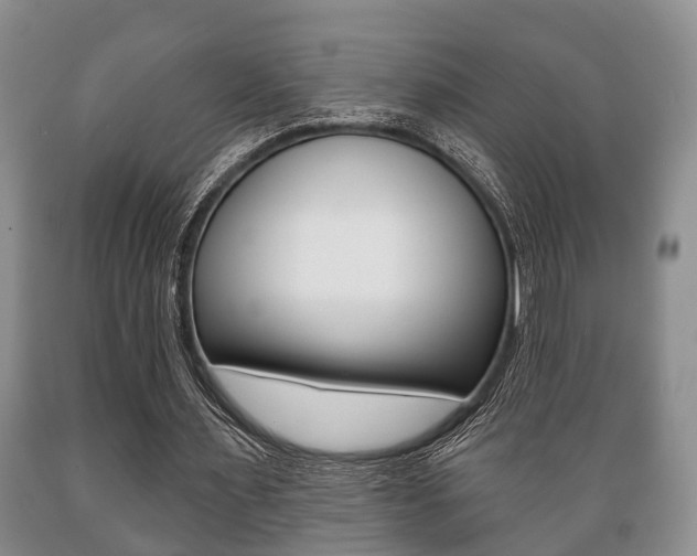 X0000089720483200706210857