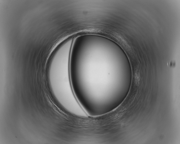 X0000089720484200706210857