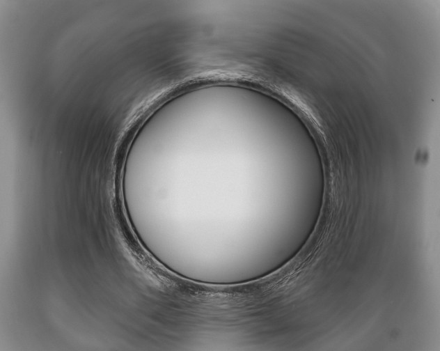 X0000089720486200706210857