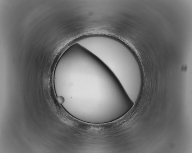 X0000089720487200706210857