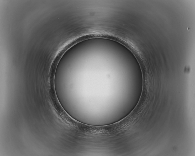X0000089720488200706210857