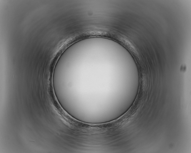 X0000089720490200706210857