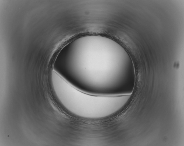 X0000089720492200706210857
