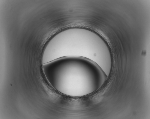 X0000089720493200706210857