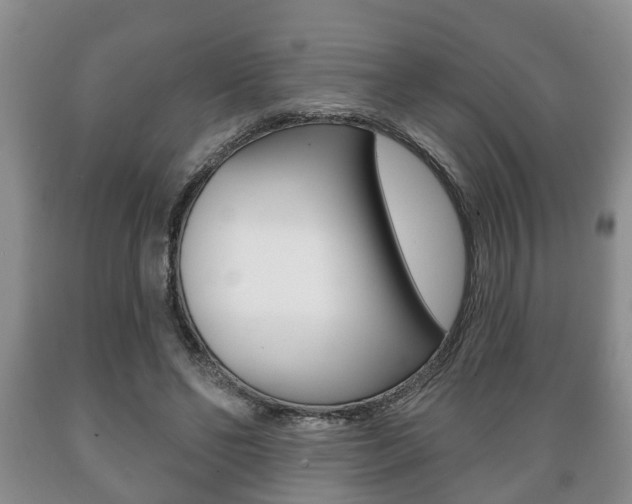 X0000089720494200706210857
