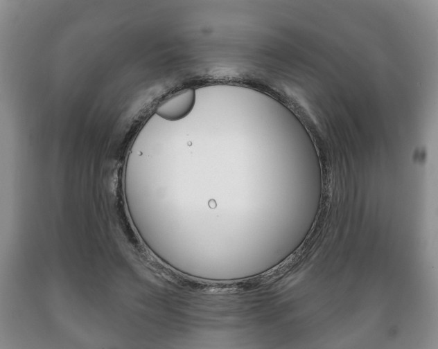 X0000089720495200706210857