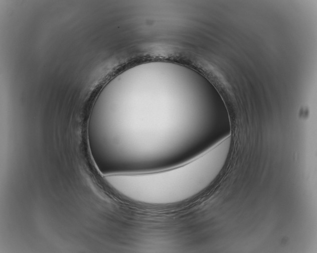 X0000089720496200706210857