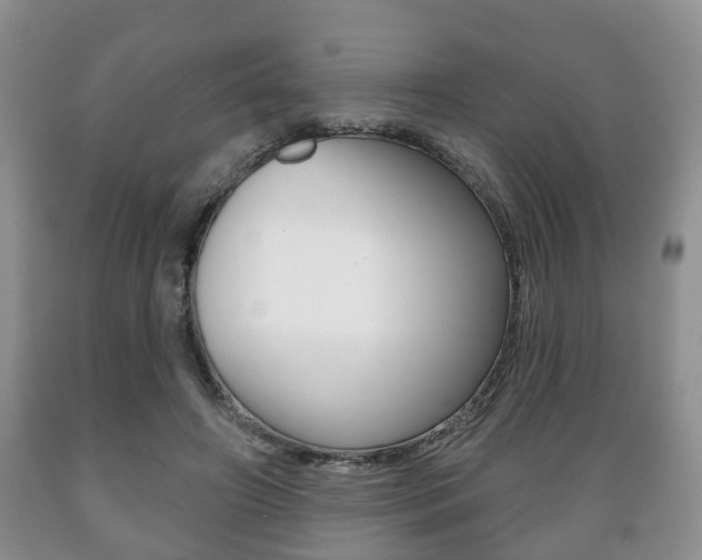 X0000089720498200706210857