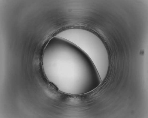 X0000089720500200706210857