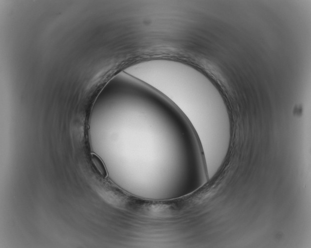 X0000089720501200706210857