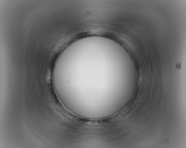 X0000089720502200706210857