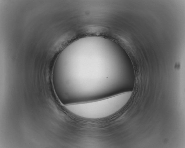 X0000089720504200706210857