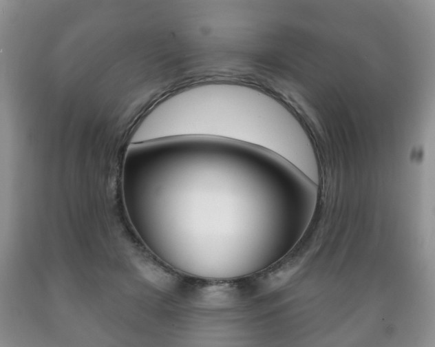 X0000089720505200706210857