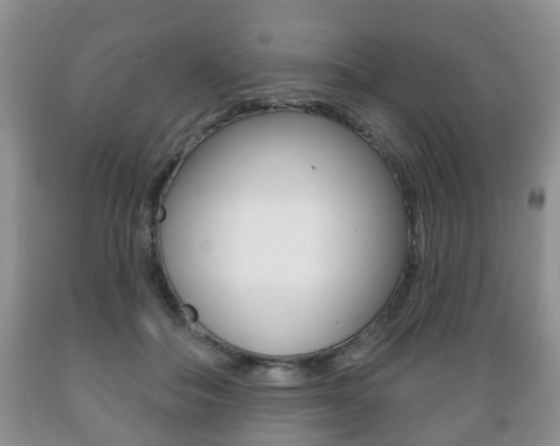 X0000089720506200706210857