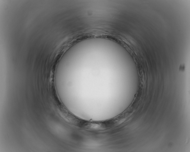 X0000089720507200706210857
