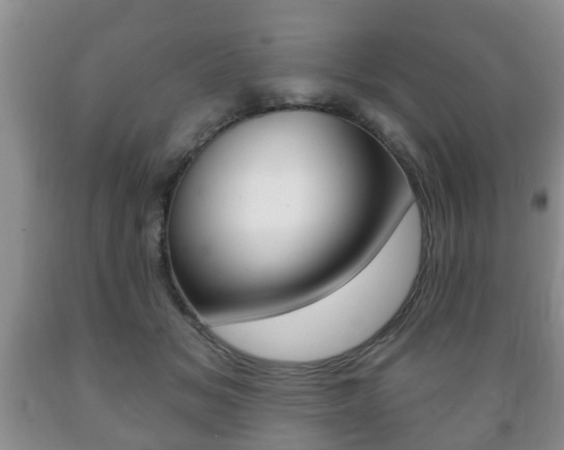 X0000089720509200706210857