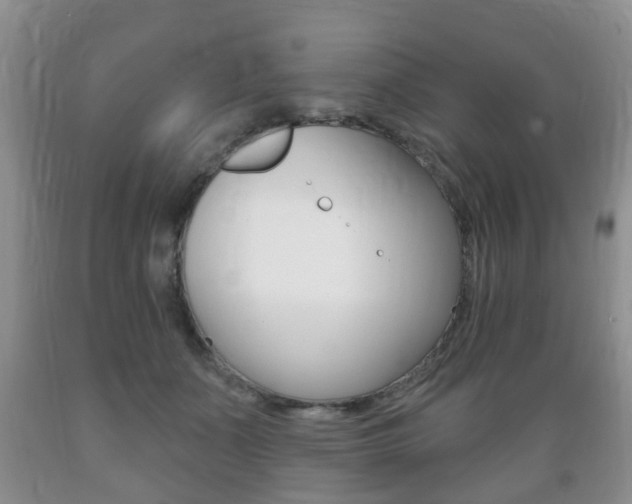X0000089720511200706210857