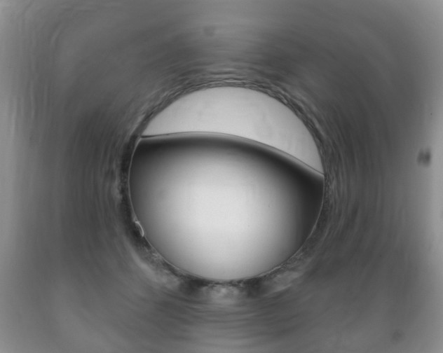 X0000089720512200706210857