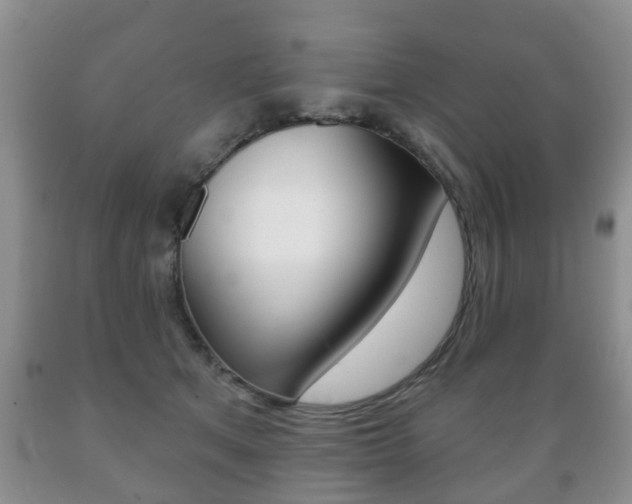 X0000089720513200706210857