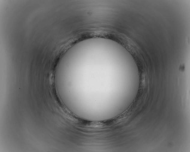 X0000089720514200706210857