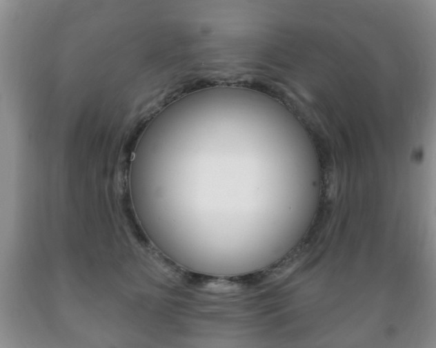 X0000089720515200706210857