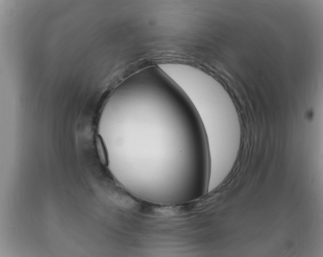 X0000089720516200706210857