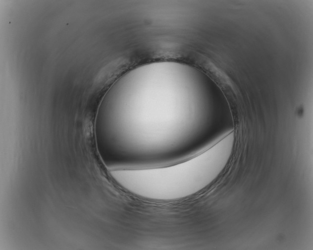 X0000089720517200706210857