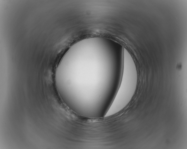 X0000089720520200706210856