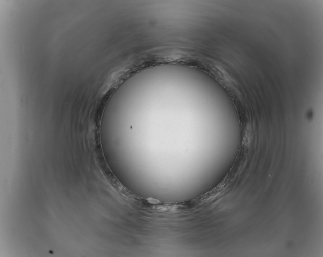 X0000089720524200706210856