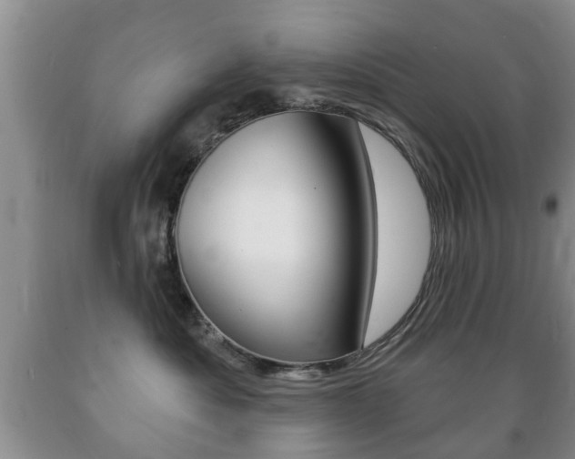 X0000089720525200706210856