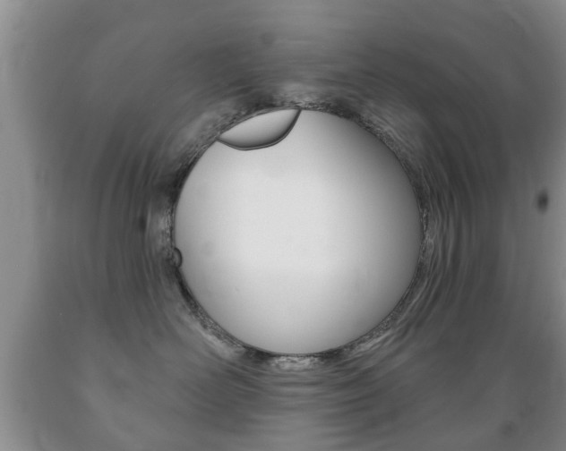 X0000089720526200706210856