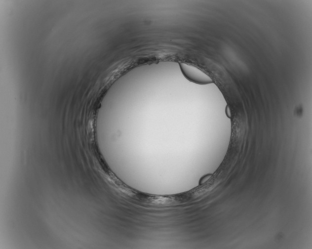 X0000089720527200706210856