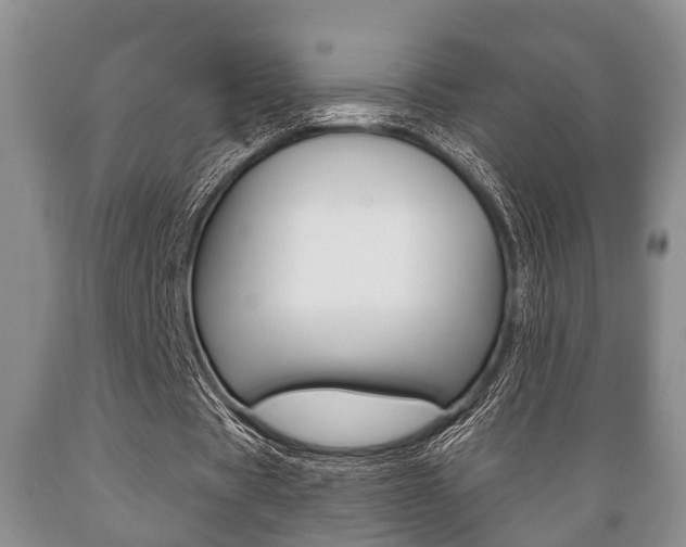 X0000089720529200706210856