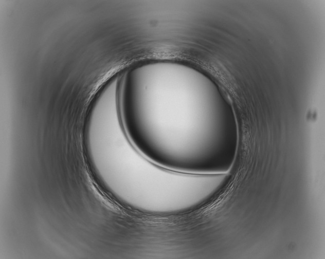 X0000089720530200706210856