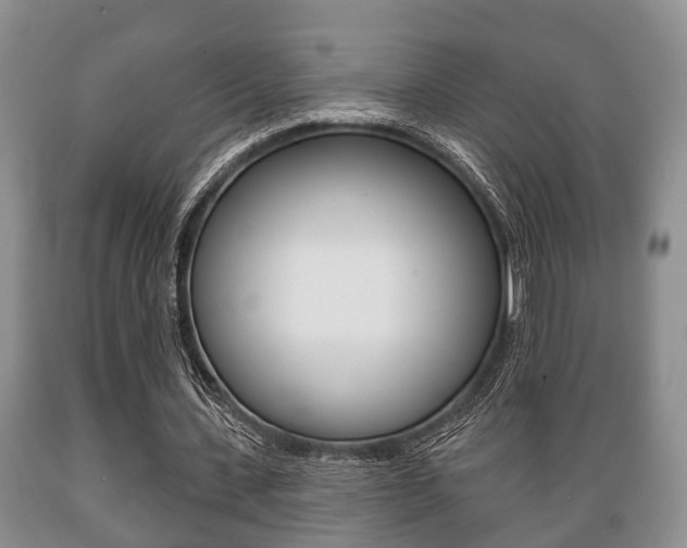 X0000089720531200706210856
