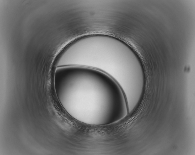 X0000089720532200706210856