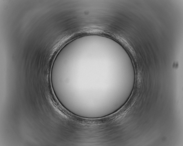 X0000089720533200706210856