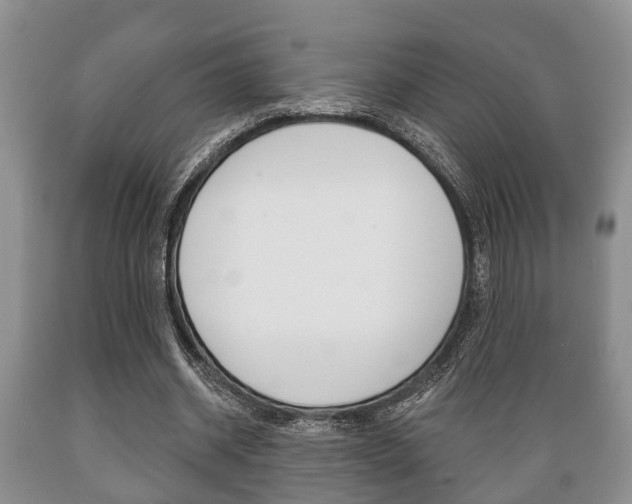 X0000089720534200706210856