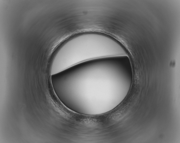 X0000089720535200706210856