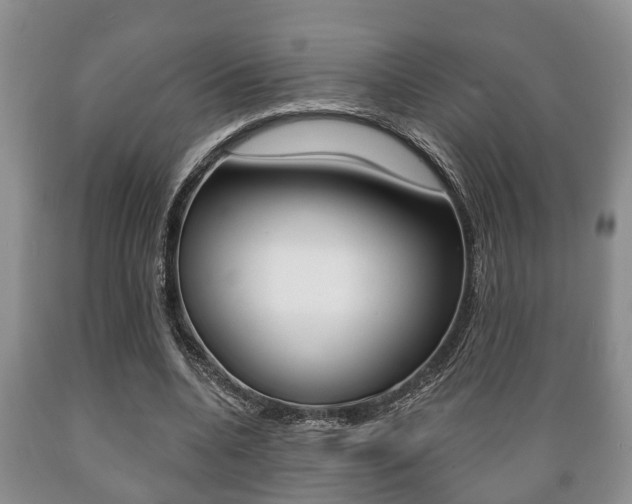 X0000089720536200706210856