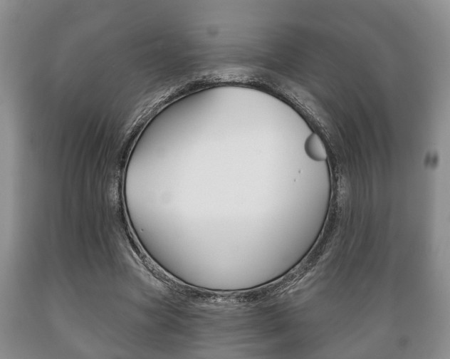 X0000089720537200706210856