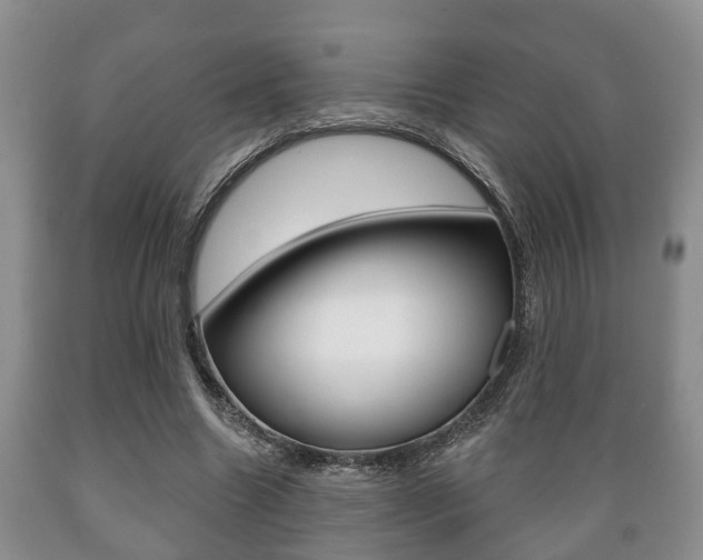 X0000089720538200706210856