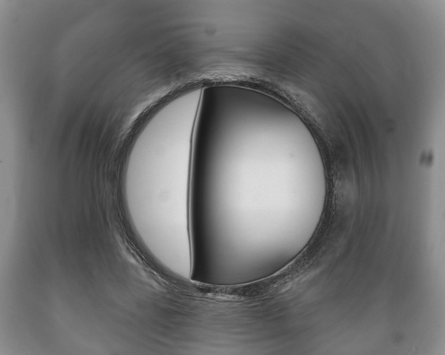 X0000089720539200706210856